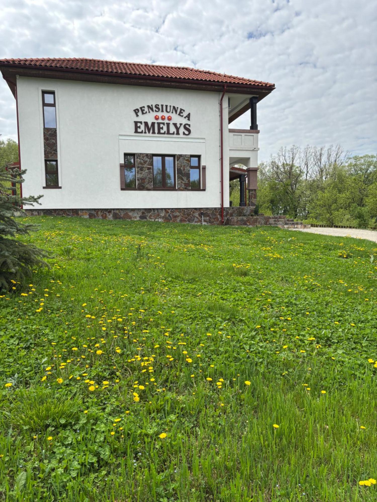 Pensiunea Emelys, Iasi Barnova Eksteriør billede